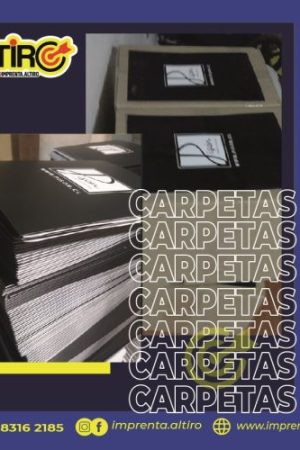 CARPETAS CORPORATIVAS